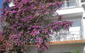 Apartman Graciela Perfect Location Gradac