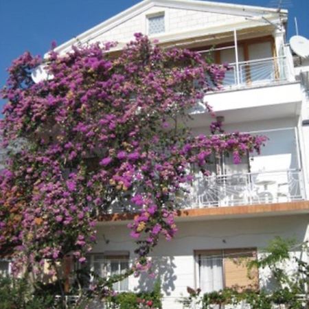 Apartman Graciela Perfect Location Gradac Gradac  Exteriér fotografie