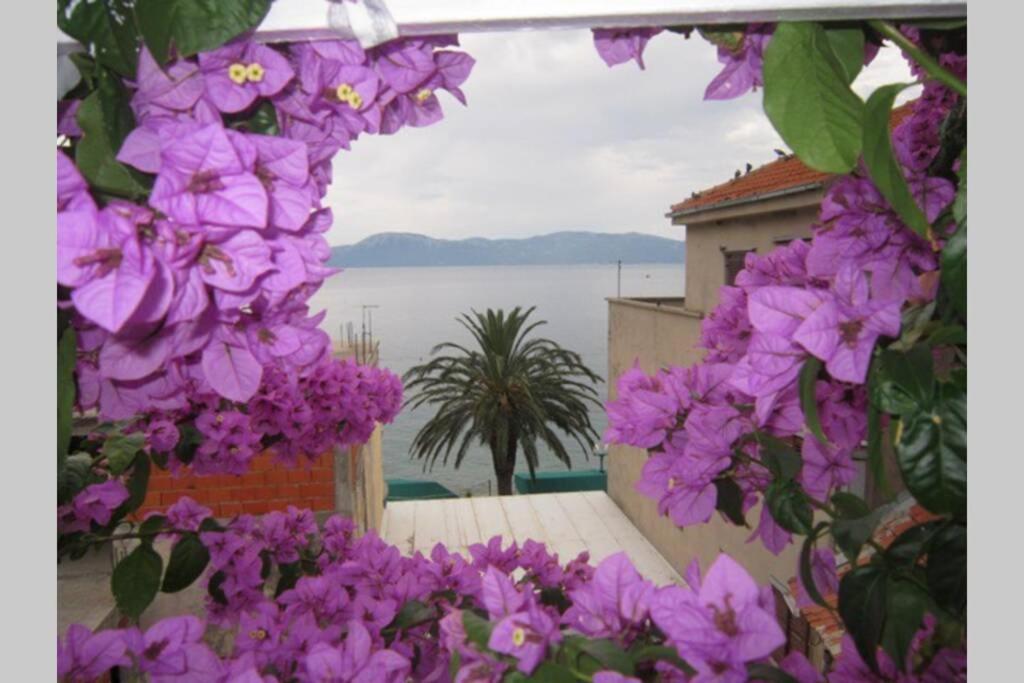 Apartman Graciela Perfect Location Gradac Gradac  Exteriér fotografie