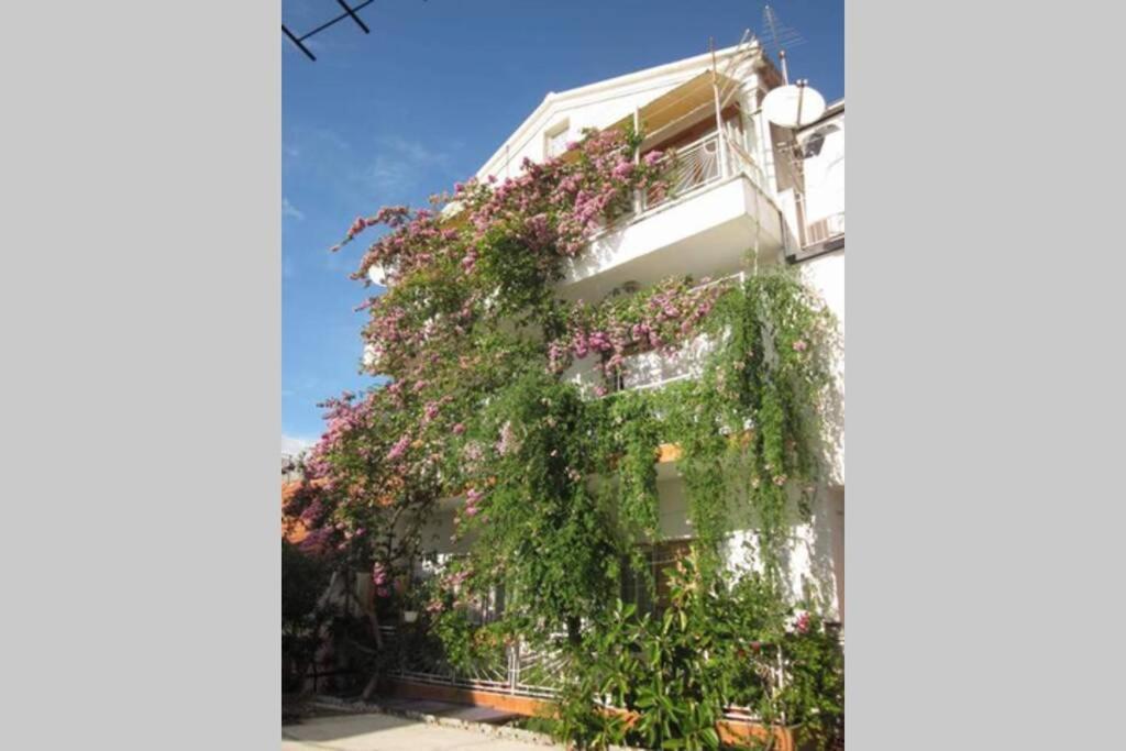 Apartman Graciela Perfect Location Gradac Gradac  Exteriér fotografie